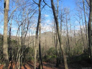 425 Walnut Valley Pkwy unit Lot 96, Arden, NC 28704 - photo 5