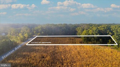 L 1.02 Stanton Ave, Franklin, NJ 08322 - photo 5