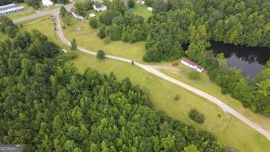 4162 Roosevelt Hwy, Warm Springs, GA 31830 - photo 4