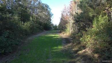75 Highway 82 Hwy, Booth, AL 36064 - photo 7