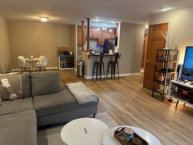 Living room flows into the dining area, kitchen an