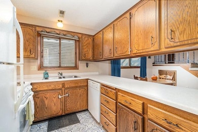 5503 E Bavarian Pass, Minneapolis, MN 55432 - photo 4