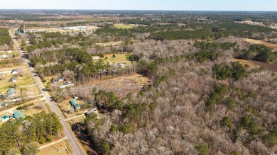 TBD Old Tram Rd, Conway, SC 29527 - photo 5