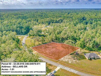 XX Sellars, Crawfordville, FL 32327 - photo 7