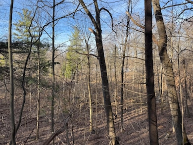 5950 S Lake George Rd, Dryden, MI 48428 - photo 7