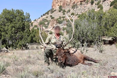 000 County Road 40 2 unit Poitry Canyon Ranch, Branson, CO 81027 - photo 4