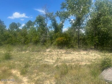 TBD Cachet Ct unit 9, Chipley, FL 32428 - photo 3