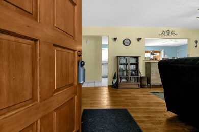 3-web-or-mls-1335-graf-st