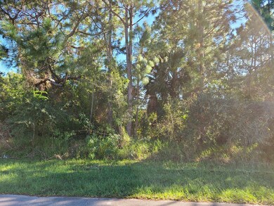 1702 SW Victor Ln, Port Saint Lucie, FL 34984 - photo 4