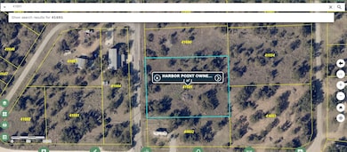 TBD Harbor Dr, Thunderbird Bay, TX 76857 - photo 2