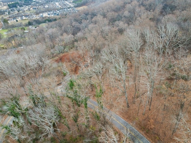 06-DJI_20241227094551_0954_D