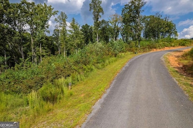 LT 275 Highgrove Dr, Talking Rock, GA 30175 - photo 7