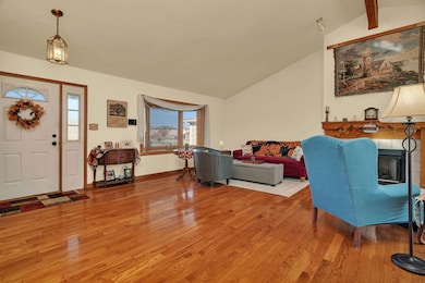 20107 Arroyo Ave, Lynwood, IL 60411 - photo 2