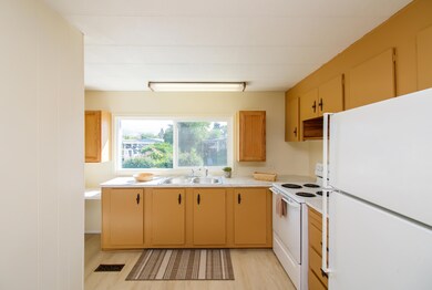 Kitchen sink
