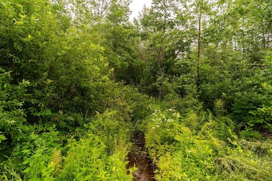 XX Torma Rd, Esko, MN 55733 - photo 3