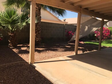 Back yard 1