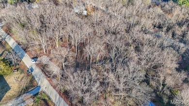 15316 Hargis Ct, Cold Spring Township, MO 65401 - photo 7