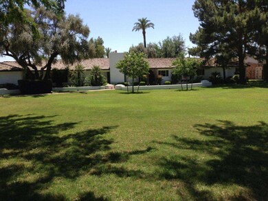Front yard1