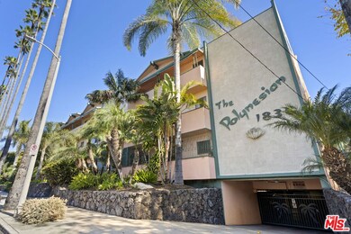 The Polynesian