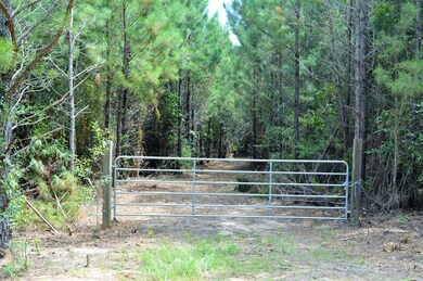 ... Liberty White Ln, McComb, MS 39648 - photo 3