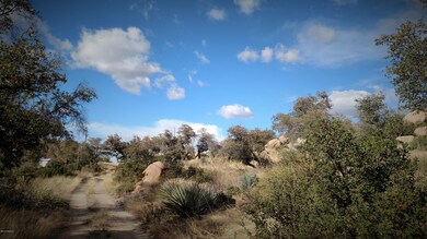 IMG_20160308_161040333