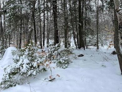 00 Deer Valley Rd unit 477, Bradford, NH 03221 - photo 2