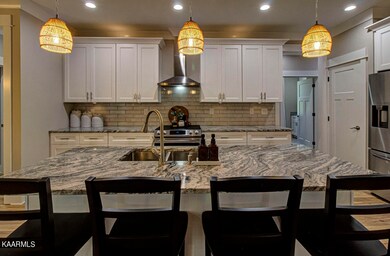 315 Cheeyo Ln, Loudon, TN 37774 - photo 6