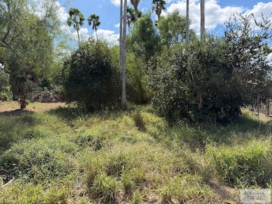 00 Botts Ave, Harlingen, TX 78552 - photo 2