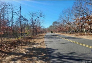 550 Wainscott Nw Rd, East Hampton, NY 11975 - photo 2