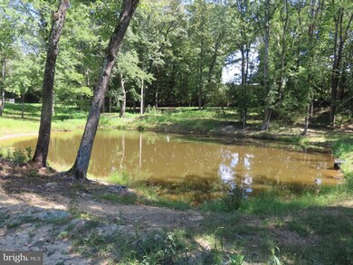 16428 Waterloo Rd, Amissville, VA 20106 - photo 3