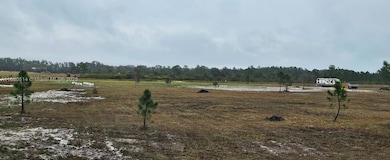 49015 Bermont Rd, Punta Gorda, FL 33982 - photo 3