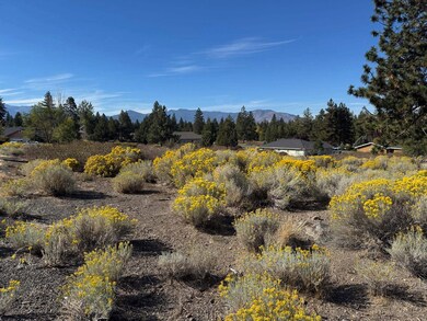 7-2 Lot 207 Otter Ct unit 7-2, Lake Shastina, CA 96094 - photo 4