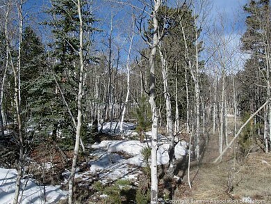 Land/Lot.