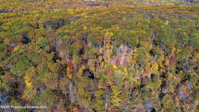 0 Robinson and Fox Rd, South Canaan, PA 18459 - photo 3