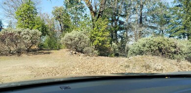 Driveway just to right of Franks.