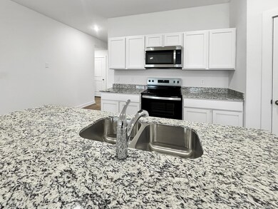 117 E Sunbelt Ct, Mayflower, AR 72106 - photo 6