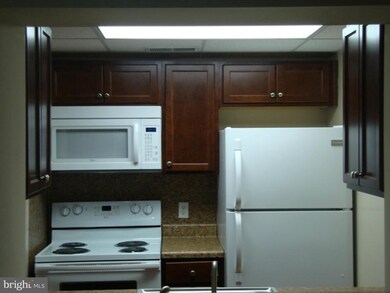 9566 Shenandoah Dr unit 9566, New Market, VA 22844 - photo 5