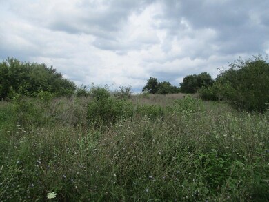 2634 Junction Rd, Flemingsburg, KY 41041 - photo 5