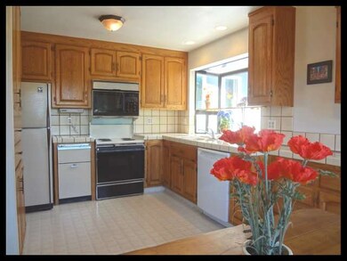 954 Burkhart Ave, San Leandro, CA 94579 - photo 4