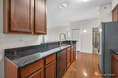 50 S Grove Ave unit 301, Elgin, IL 60120 - photo 6