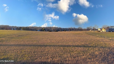 DJI_0870-Enhanced-NR-Edit