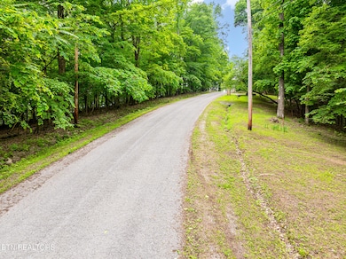 0 Running Deer Tr unit 1322139, Caryville, TN 37714 - photo 5