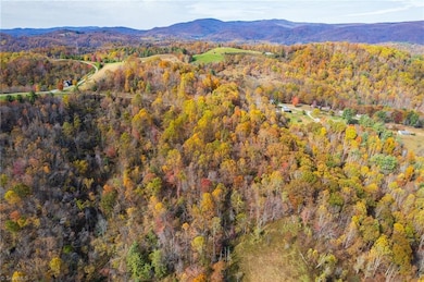 TBD 1 Mayito Ln, Mouth of Wilson, VA 24363 - photo 7