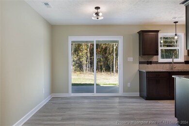 1271 Chason Rd, Lumber Bridge, NC 28357 - photo 5