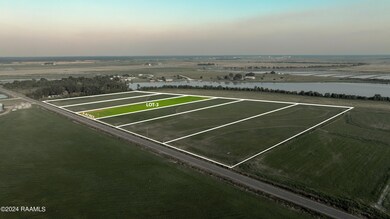 2389 Old Basile Hwy unit Lot 3, Basile, LA 70515 - photo 4