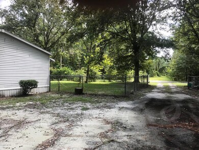 Front yard and driveway