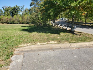 TRACT 3B Headtown Rd, Jonesborough, TN 37659 - photo 7