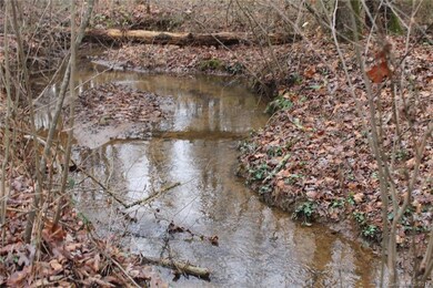 108.61 ac Tomlin Mill Rd, Statesville, NC 28625 - photo 6