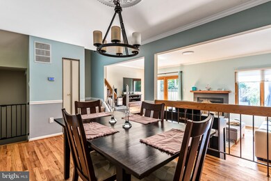 3728 Nimitz Rd, Kensington, MD 20895 - photo 3