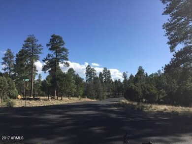 Pine Canyon 4